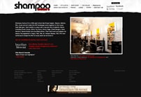 Shampoo Salon Website